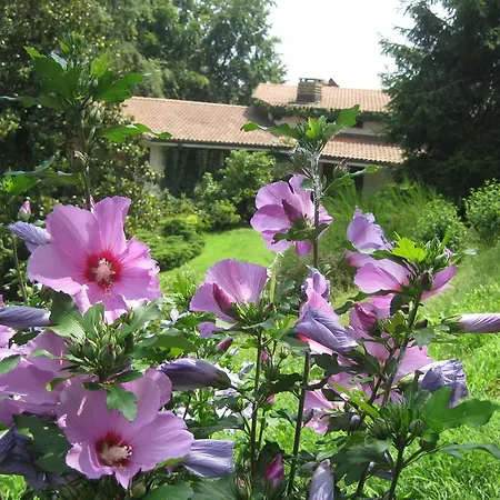 Il Capanno Del Castello Bed & Breakfast Manta